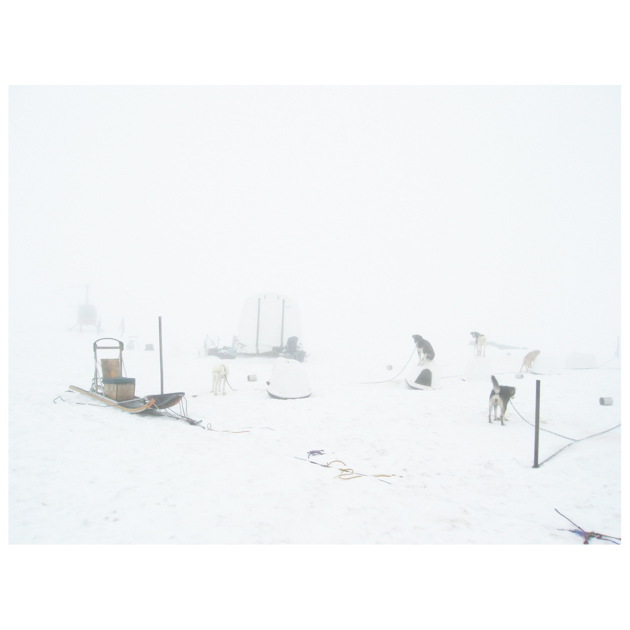 john sisley alaska dogs