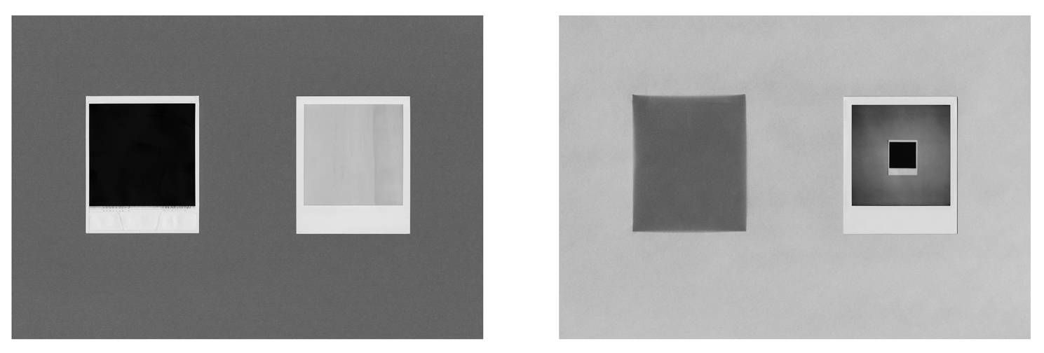 john sisley fade polaroid